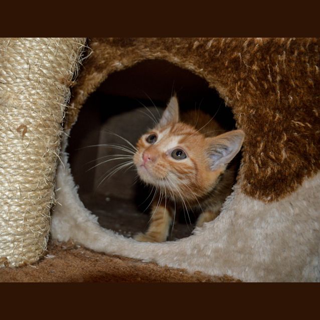 Photo of Elroy