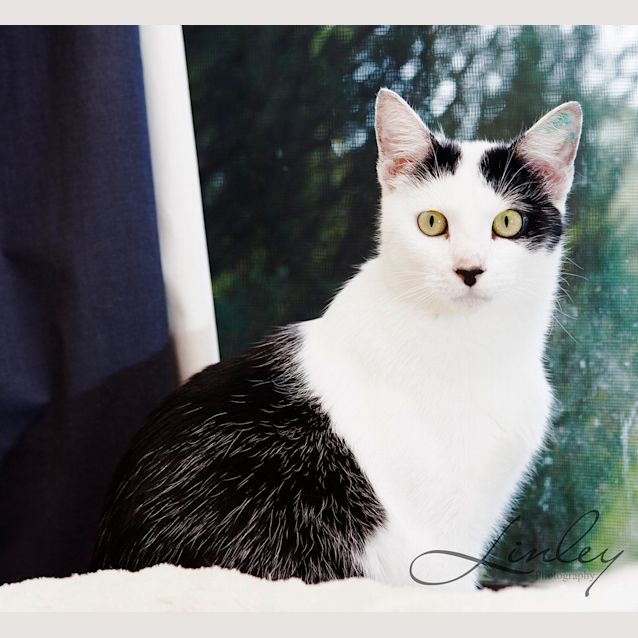 Photo of Matilda