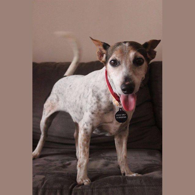 Photo of Muddy
