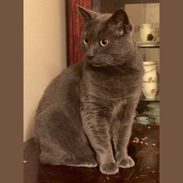 Photo of Charlie Blue