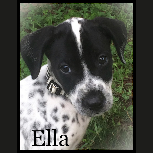 Photo of Ella