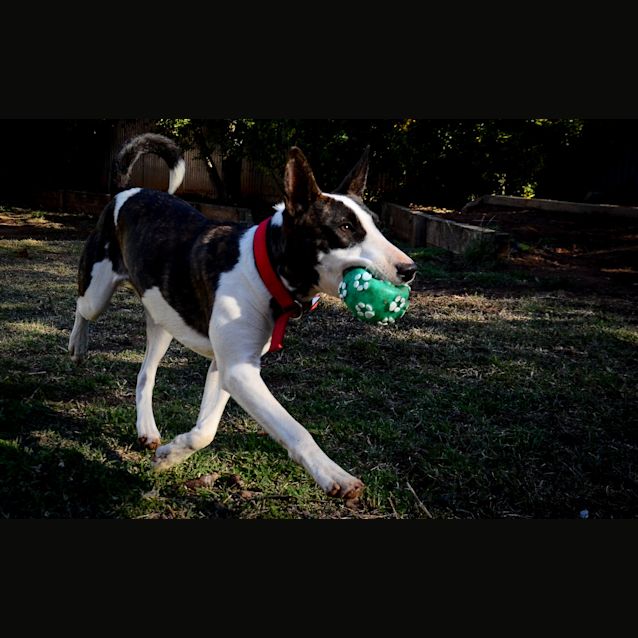 Photo of Macey