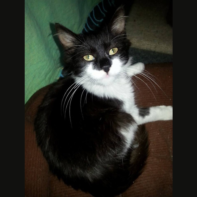 Photo of Victoria ** Adoption Day **