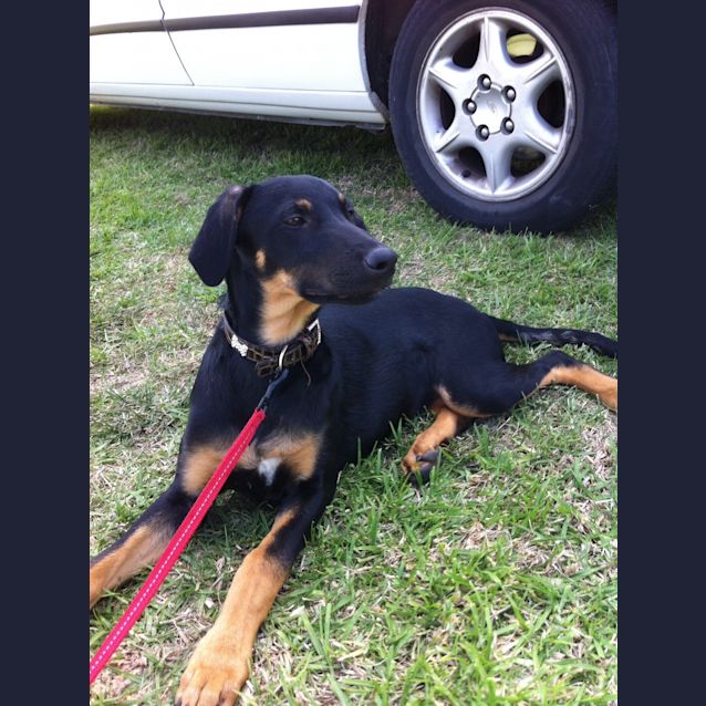 Photo of Luca