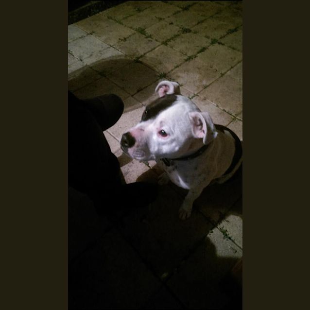 Photo of Jack
