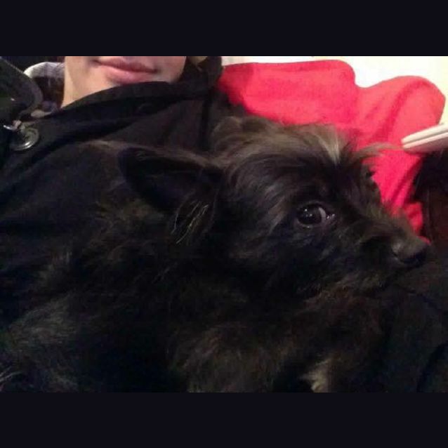 Photo of Hope (And Sheldon)