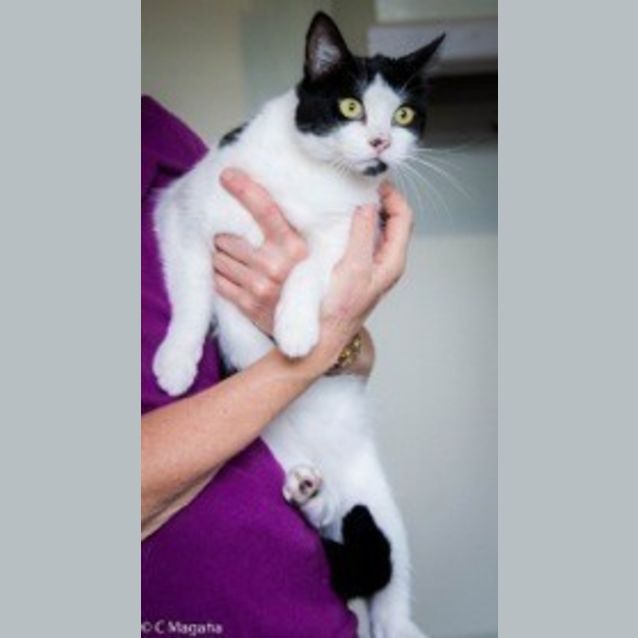 Photo of Bubble Ec0098