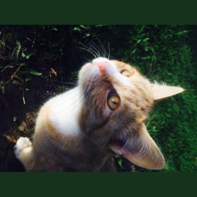 Photo of Lenny Ec0125