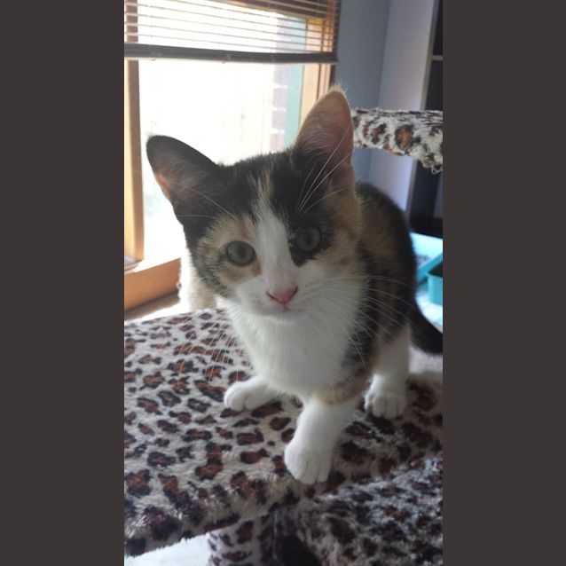 Photo of Shelly
