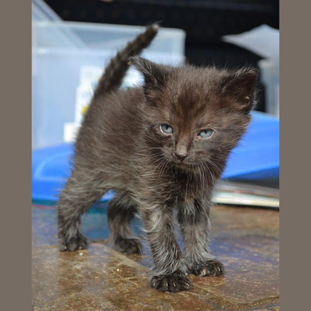 Photo of Jacob Black