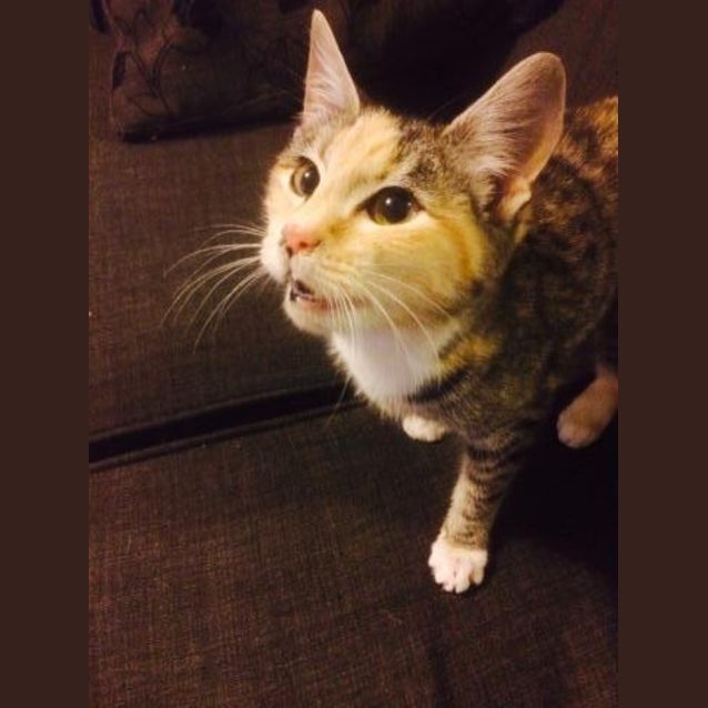 Photo of Willow Ec127