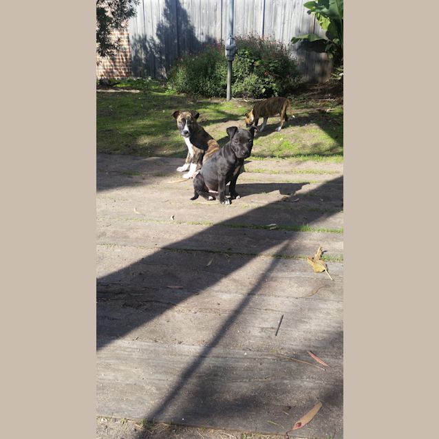 Photo of Rumble