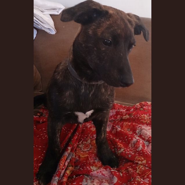 Photo of Bernie