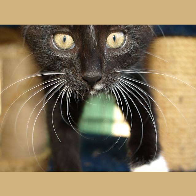 Photo of Spud