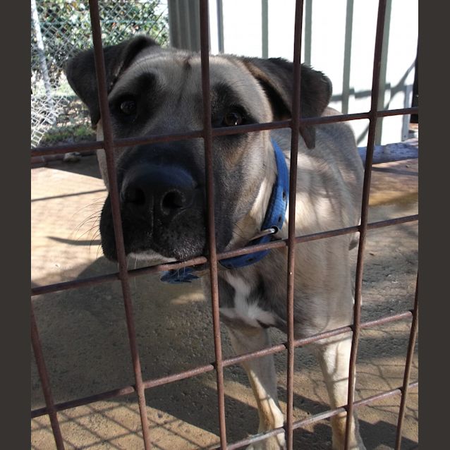 Photo of #117   Digger 