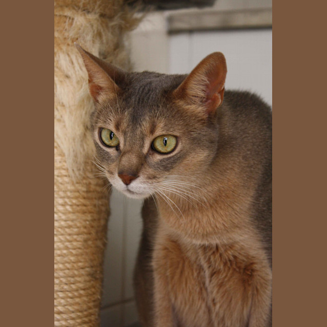 Photo of Kat