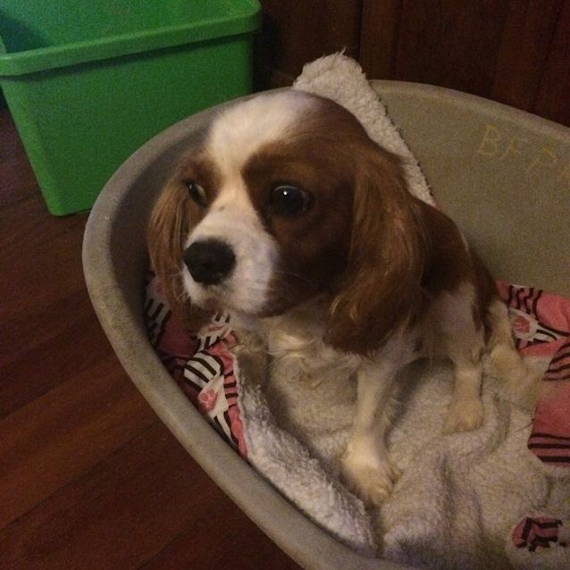 Photo of Mandy