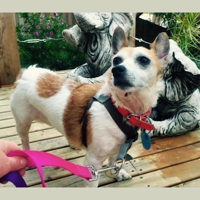 Photo of Betty