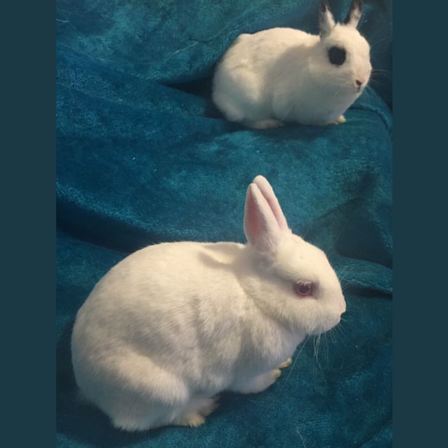 Photo of Kimmy And Nikki