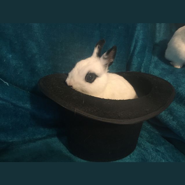 Photo of Kimmy And Nikki