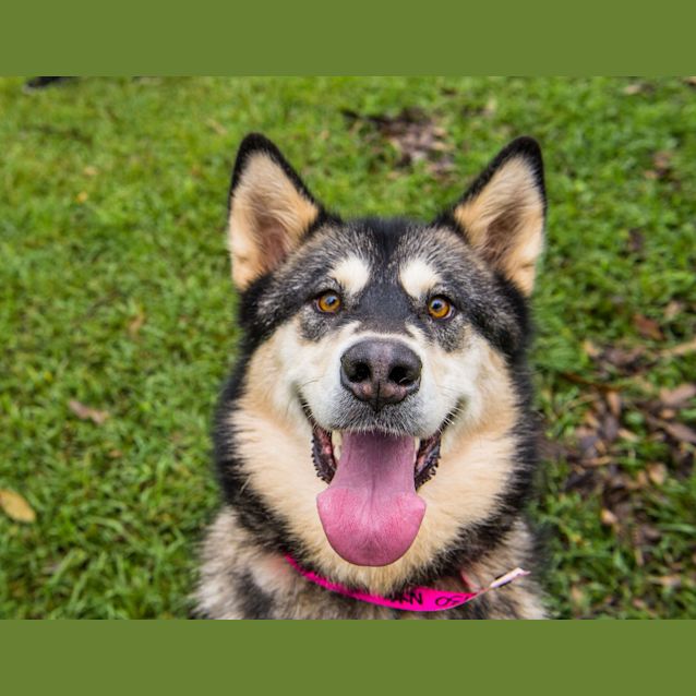 Photo of Nym ~ #1502131