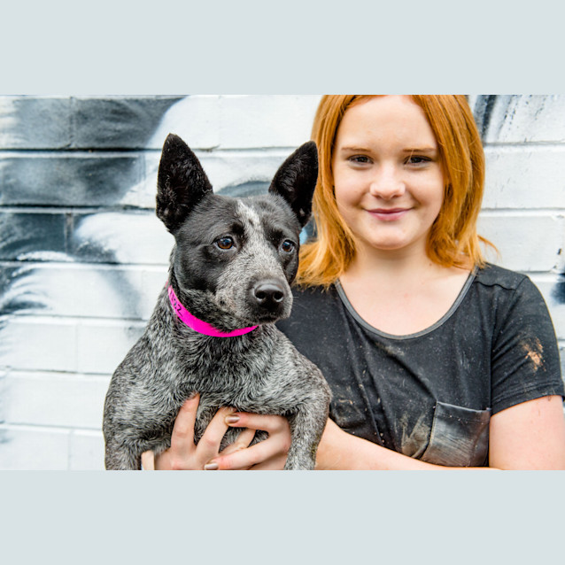 Photo of Indiana ~ #1502182
