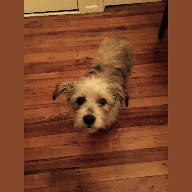 Photo of Cassie
