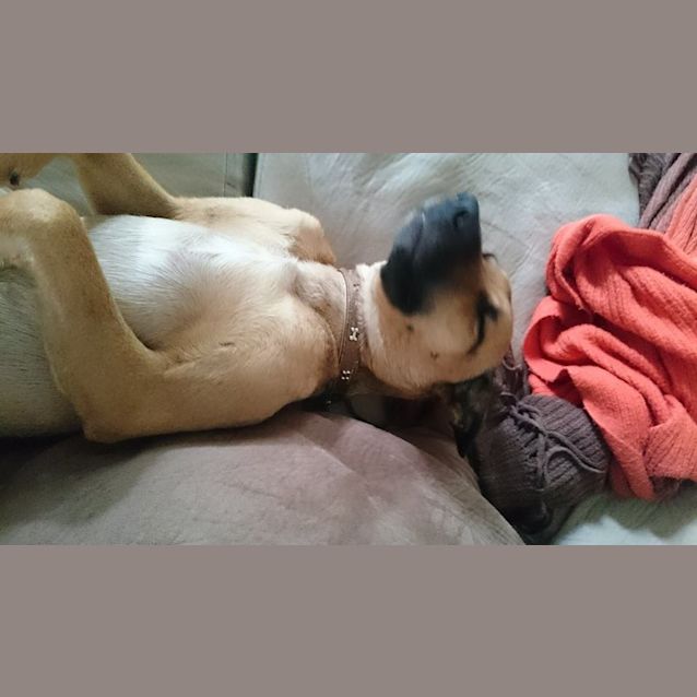 Photo of Peeka The Perfect!