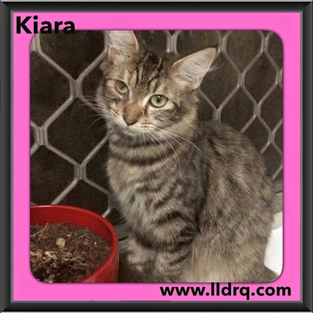 Photo of Kiara 