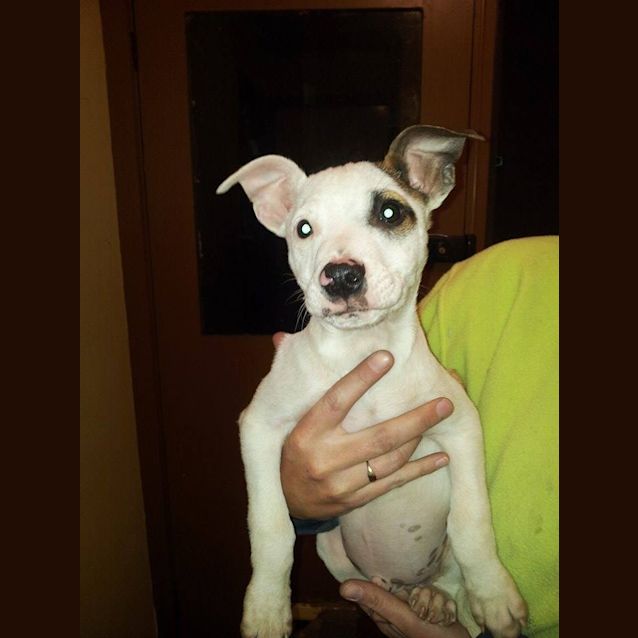 Photo of Max