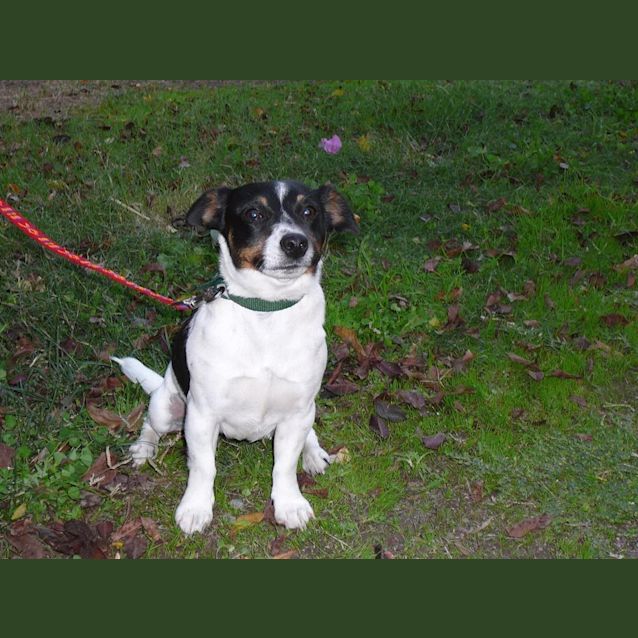 Photo of Roxy