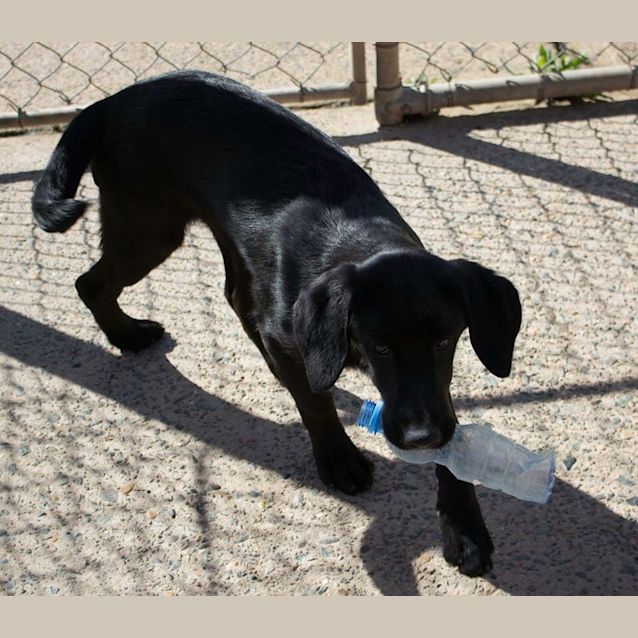 Photo of Cheeky Khaos