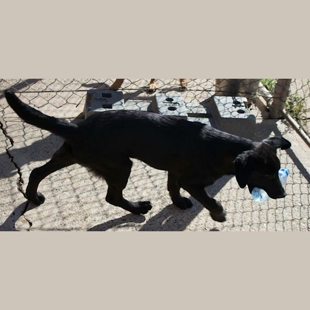 Photo of Cheeky Khaos