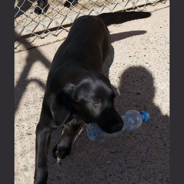 Photo of Cheeky Khaos