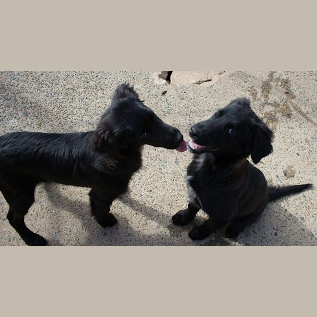 Photo of Beautiful Bobby Boy