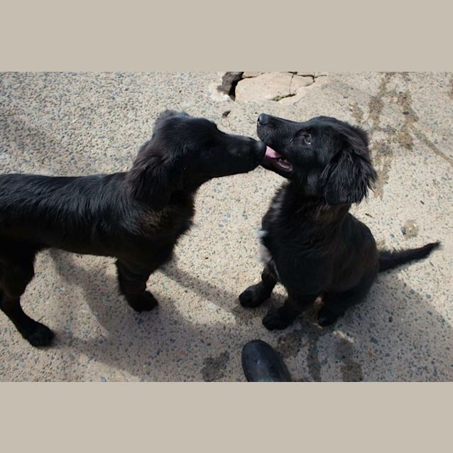 Photo of Beautiful Bobby Boy