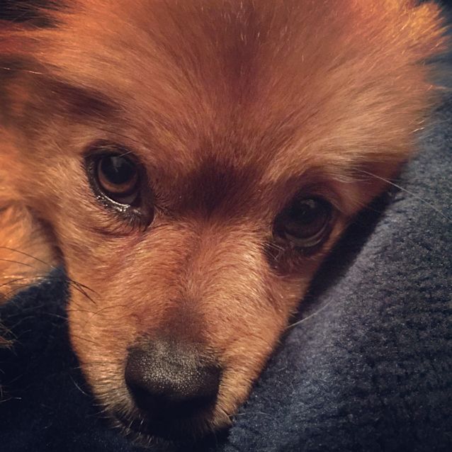 Photo of Bucket ***Under Application***