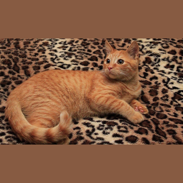 Photo of Rupert