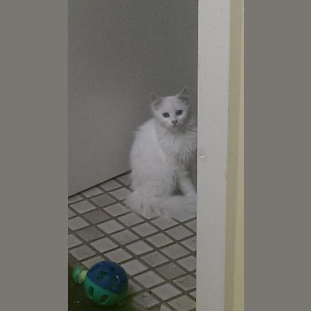 Photo of Elsa