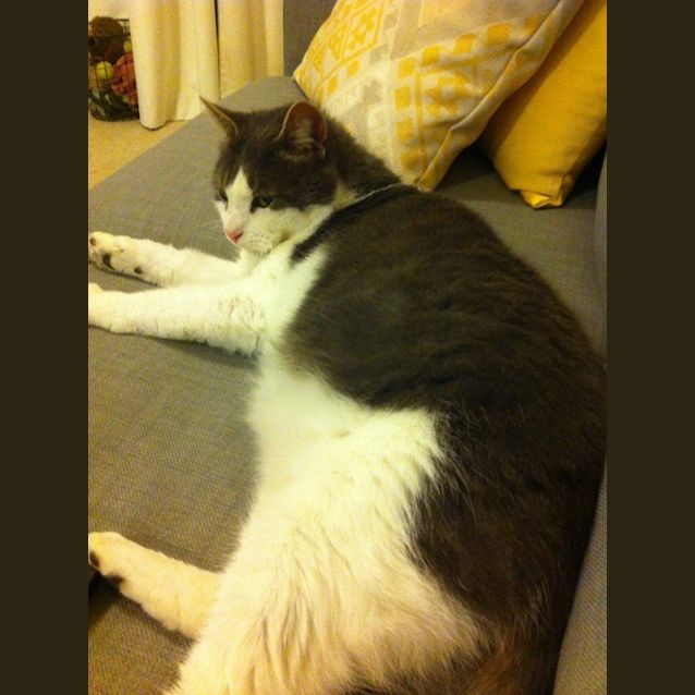 Photo of Gary