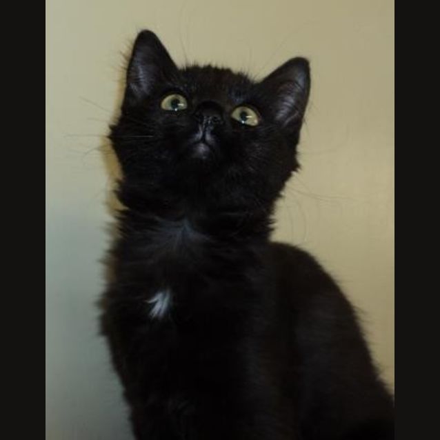Photo of Mia