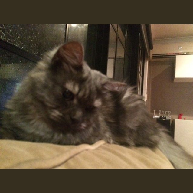 Photo of Crystal