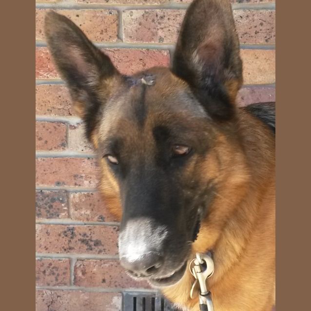 Photo of Jayda On Trial In Her New Home