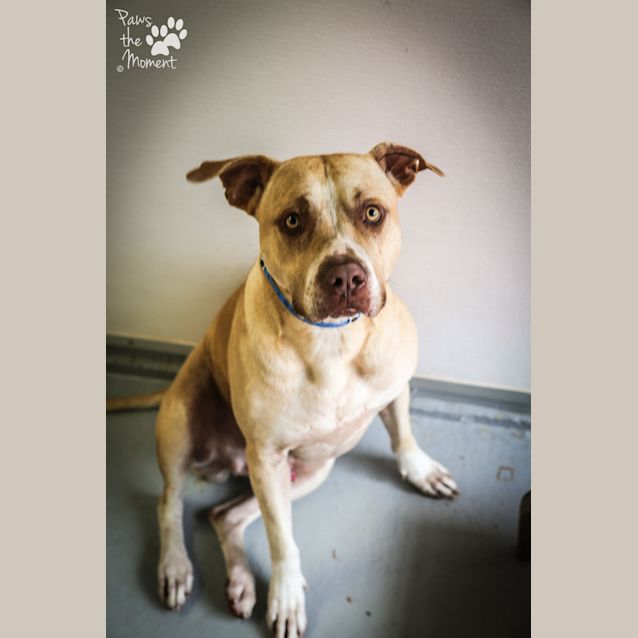 Photo of Frankie ~ #1502244