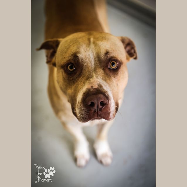 Photo of Frankie ~ #1502244