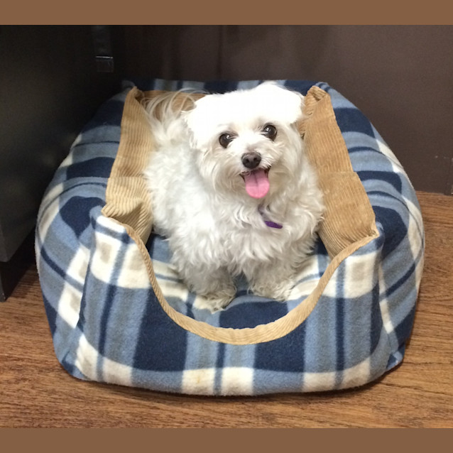 Photo of Patsy
