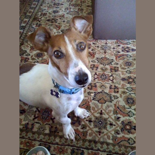 Photo of Archie