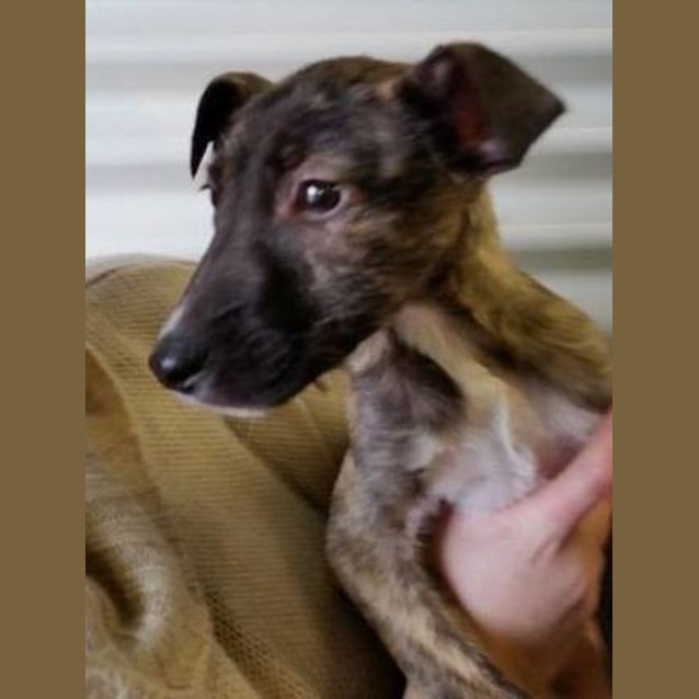 Photo of Betty