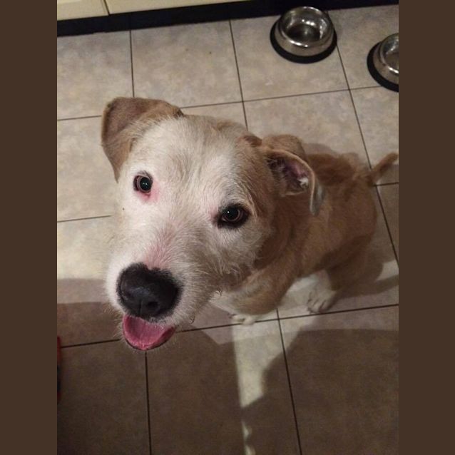 Photo of Lolli