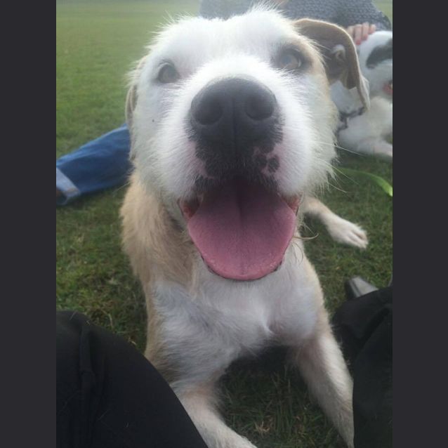 Photo of Lolli